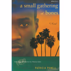 ISBN A Small Gathering of Bones, Anglais, Livre broché, 144 pages