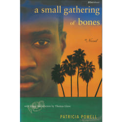 ISBN A Small Gathering of Bones