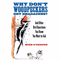 ISBN Why Don’t Woodpeckers Get Headaches?, Livre broché, 224 pages