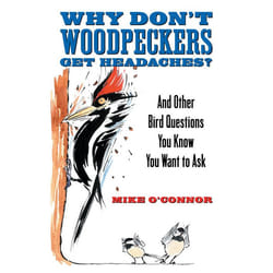 ISBN Why Don’t Woodpeckers Get Headaches? livre