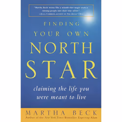 ISBN Finding Your Own North Star, Livre broché, 400 pages