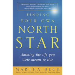 ISBN Finding Your Own North Star livre