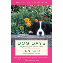 ISBN Dog Days, biographie, Anglais, Livre broché, 304 pages