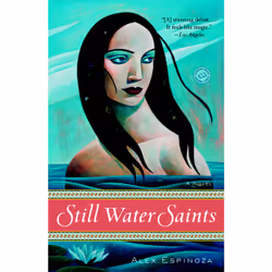 ISBN Still Water Saints, Anglais, Livre broché, 272 pages