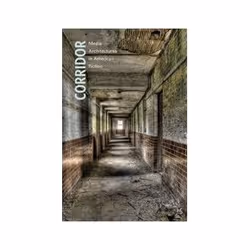 ISBN Corridor: Media Architectures in American Fiction, Education, Anglais, 256 pages