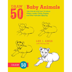 ISBN Draw 50 Baby Animals, Livre broché, 64 pages