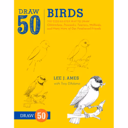 ISBN Draw 50 Birds, Livre broché, 64 pages