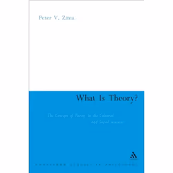 ISBN What is Theory? (Cultural Theory as Discourse and Dialogue), Anglais, Couverture rigide, 304 pages