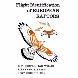 ISBN Flight Identification of European Raptors, Anglais, Couverture rigide, 276 pages