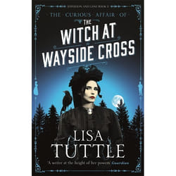Hachette UK The Witch at Wayside Cross