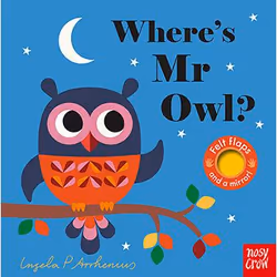 Allen &amp; Unwin Where's Mr Owl? (Felt Flaps), Anglais, 12 pages