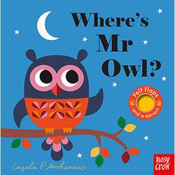 Allen & Unwin Where's Mr Owl? (Felt Flaps)