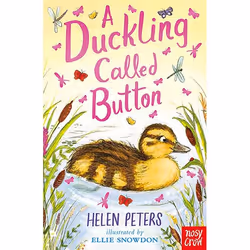 Allen & Unwin A Duckling Called Button, Anglais, Livre broché, 144 pages