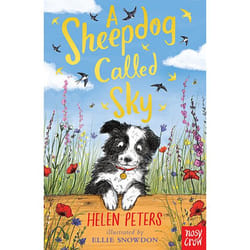 Allen & Unwin A Sheepdog Called Sky