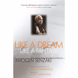 ISBN Like a Dream, Like a Fantasy, Anglais, Livre de poche, 224 pages