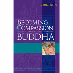 ISBN Becoming the Compassion Buddha, Anglais, Livre de poche, 224 pages