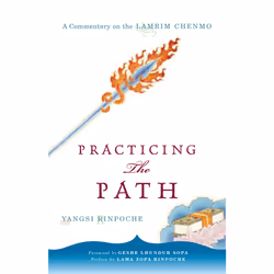 ISBN Practicing the Path, Anglais, Livre de poche, 576 pages