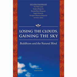 ISBN Losing the Clouds, Gaining the Sky, Anglais, Livre de poche, 352 pages