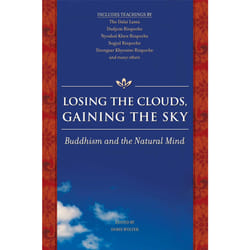 ISBN Losing the Clouds, Gaining the Sky Livre de poche
