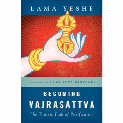 ISBN Becoming Vajrasattva, Anglais, Livre de poche, 352 pages