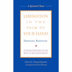 ISBN Liberation in the Palm of Your Hand, Anglais, Livre de poche, 896 pages