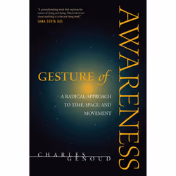 ISBN Gesture of Awareness, Anglais, Livre de poche, 224 pages