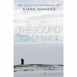 ISBN The Sound of Silence, Anglais, Livre de poche, 376 pages