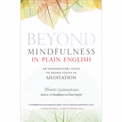 ISBN Beyond Mindfulness in Plain English, Anglais, Livre de poche, 240 pages