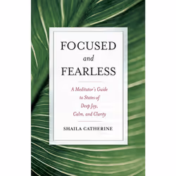 ISBN Focused and Fearless, Anglais, Livre de poche, 280 pages