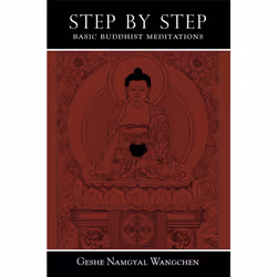 ISBN Step by Step, Anglais, Livre de poche, 264 pages