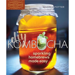 New Society DIY Kombucha