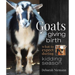 New Society Goats Giving Birth