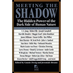 ISBN Meeting the Shadow livre