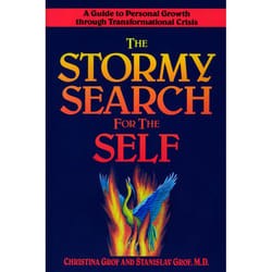 ISBN The Stormy Search for the Self livre