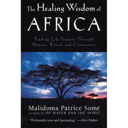 ISBN The Healing Wisdom of Africa livre