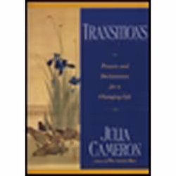 ISBN Transitions, Livre broché, 208 pages