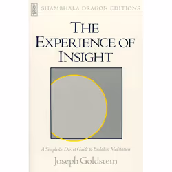 ISBN The Experience of Insight, Livre broché, 192 pages