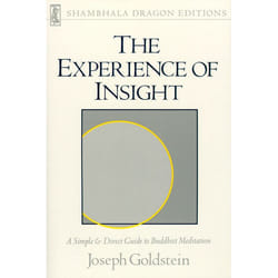 ISBN The Experience of Insight livre