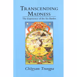 ISBN Transcending Madness, Livre broché