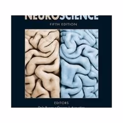 ISBN Neuroscience 5th, Science & nature, Anglais, Couverture rigide, 858 pages