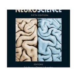 ISBN Neuroscience 5th livre Science & nature Anglais Couverture rigide