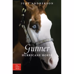 ISBN Gunner, Anglais, Livre broché, 104 pages