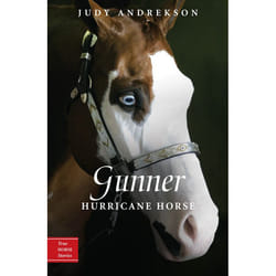ISBN Gunner