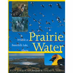 The University of Alberta Press Prairie Water, histoire, Anglais, 148 pages