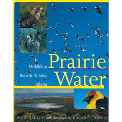 The University of Alberta Press Prairie Water livre histoire Anglais