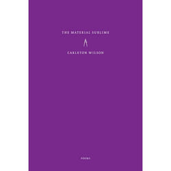 ISBN The Material Sublime