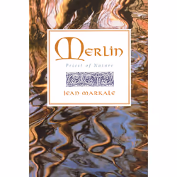 ISBN Merlin, Anglais, Livre de poche, 240 pages