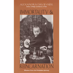 ISBN Immortality and Reincarnation, Anglais, Livre de poche, 176 pages
