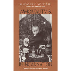 ISBN Immortality and Reincarnation Livre de poche
