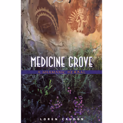 ISBN Medicine Grove, Anglais, Livre de poche, 224 pages